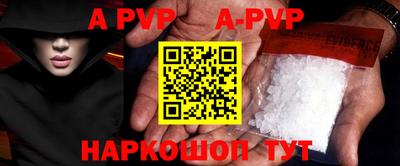 шишки Новодвинск