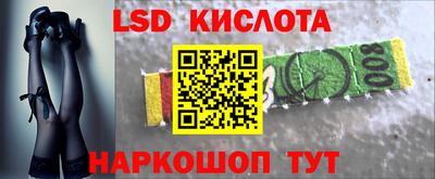 шишки Новодвинск