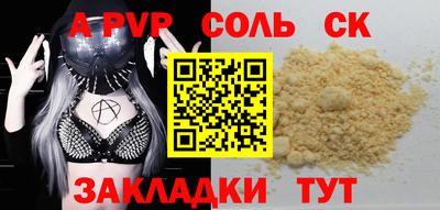шишки Новодвинск
