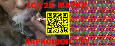 шишки Новодвинск