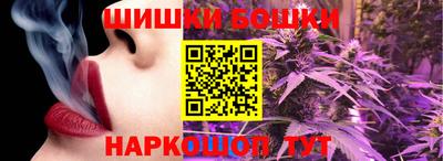 шишки Новодвинск