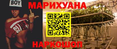 мдпв Новозыбков
