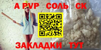 шишки Новодвинск