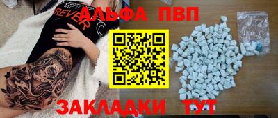 шишки Новодвинск