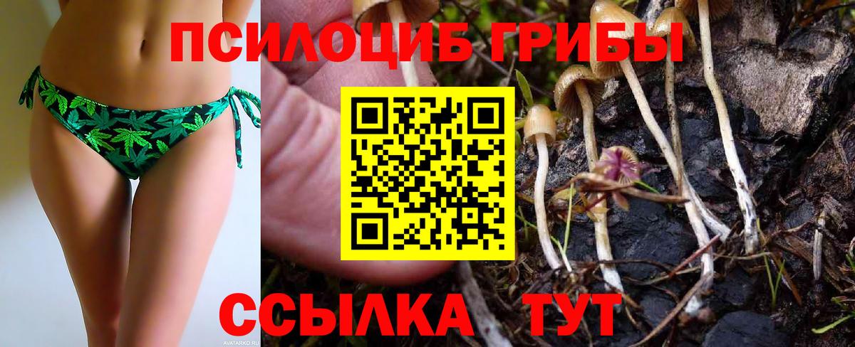 Галлюциногенные грибы мухоморы Татарск